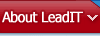 About LeadIT